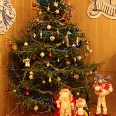 Туристический комплекс Русиново, Русиново, Костромская область