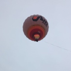 Туристический комплекс Русиново, Русиново, Костромская область