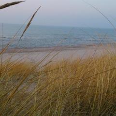 Гостевой дом Зеленый Сад, Рыбачий (Калининградская область), Калининградская область