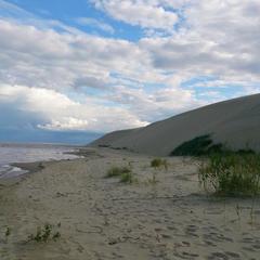 Гостевой дом Зеленый Сад, Рыбачий (Калининградская область), Калининградская область