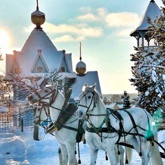 Туристический комплекс Русиново, Русиново, Костромская область