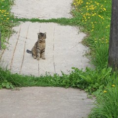 Туристический комплекс Русиново, Русиново, Костромская область