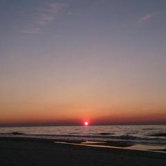 Гостевой дом Зеленый Сад, Рыбачий (Калининградская область), Калининградская область