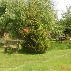 Гостевой дом Зеленый Сад, Рыбачий (Калининградская область), Калининградская область