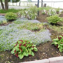 Отель Неолит, Рыбинск, Ярославская область