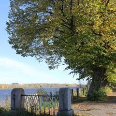 Гостиница На Введенской, Рыбинск, Ярославская область