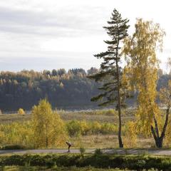 База отдыха Демино, Рыбинск, Ярославская область