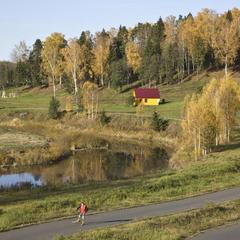База отдыха Демино, Рыбинск, Ярославская область