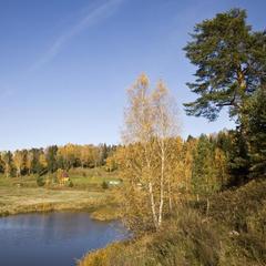 База отдыха Демино, Рыбинск, Ярославская область
