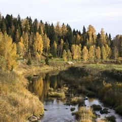 База отдыха Демино, Рыбинск, Ярославская область