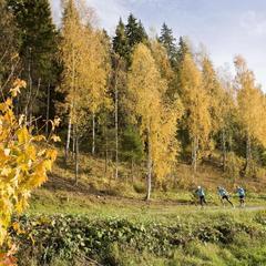 База отдыха Демино, Рыбинск, Ярославская область