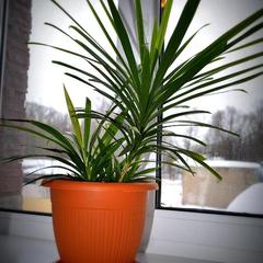 Отель Неолит, Рыбинск, Ярославская область