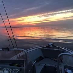 База отдыха Волковский ручей, Рыбинск, Ярославская область