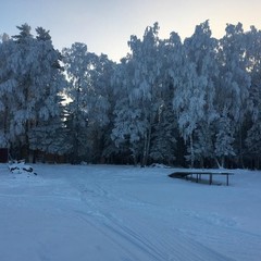 База отдыха Волковский ручей, Рыбинск, Ярославская область