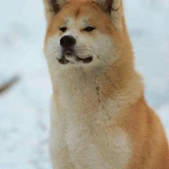 Гостевой дом Волга-Волга, Рыбинск, Ярославская область