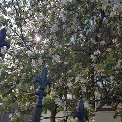 Вилла Анна Виктория, Рыбинск, Ярославская область