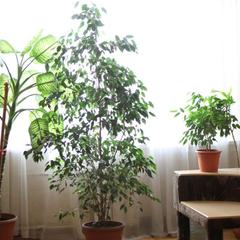 Гостиница Приокская, Рязань, Рязанская область