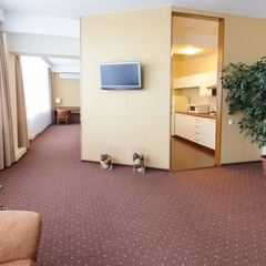 Гостиница АПАРТ-ОТЕЛЬ, Рязань, Рязанская область