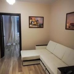 Апартаменты Аграфенина пустонь, Рязань, Рязанская область