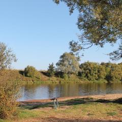 Апартаменты Аграфенина пустонь, Рязань, Рязанская область