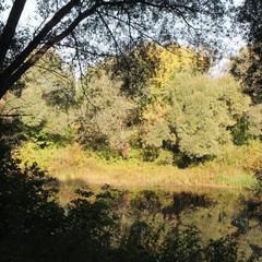 Апартаменты Аграфенина пустонь, Рязань, Рязанская область