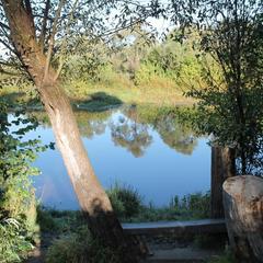 Апартаменты Аграфенина пустонь, Рязань, Рязанская область