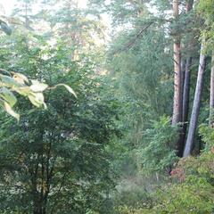 Апартаменты Аграфенина пустонь, Рязань, Рязанская область