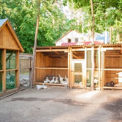 База отдыха Боярская усадьба, Старомайнский район, Ульяновская область