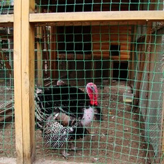 База отдыха Боярская усадьба, Старомайнский район, Ульяновская область