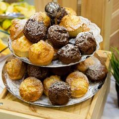 Гостиница Бристоль-Жигули, Самара, Самарская область