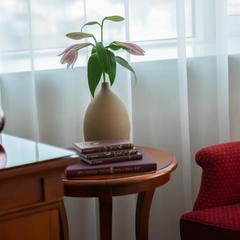 Отель Ренессанс Самара, Самара, Самарская область