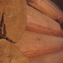 Гостиница Ost-west hotel Park, Самара, Самарская область