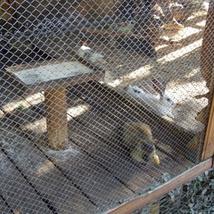 Парк-отель Парк-Отель Дубрава, Самара, Самарская область