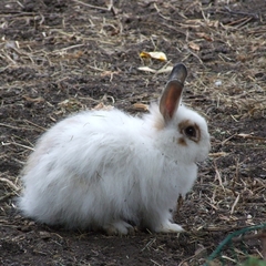 Парк-отель Парк-Отель Дубрава, Самара, Самарская область