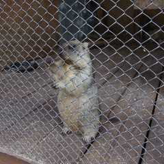 Парк-отель Парк-Отель Дубрава, Самара, Самарская область