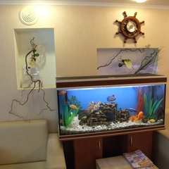 Парк-отель Парк-Отель Дубрава, Самара, Самарская область