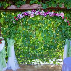 Гостиница Эгоист клуб, Самара, Самарская область