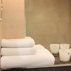 Отель Граф Орлов, Самара, Самарская область