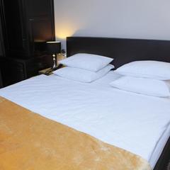 Отель Граф Орлов, Самара, Самарская область