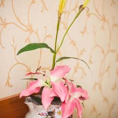 Гостиница Экватор, Самара, Самарская область