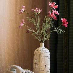 Гостиница Экватор, Самара, Самарская область