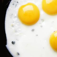 Отель Стара Загора, Самара, Самарская область