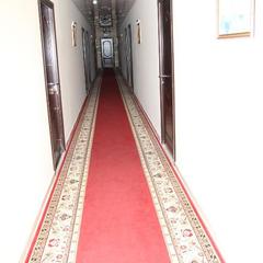 Гостиница Эдельвейс, Самара, Самарская область