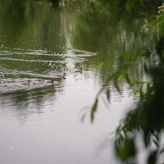 Парк-отель Парк-Отель Озерки, Самара, Самарская область