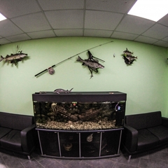 Отель Эконом, Самара, Самарская область