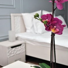 Отель Прага, Самара, Самарская область