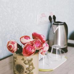 Отель Сквер Высоцкого, Самара, Самарская область