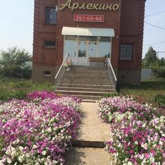 Гостиница Арлекино, Самара, Самарская область