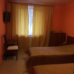 Гостиница Мичуринская, Самара, Самарская область