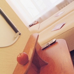 Гостиница Rinaldi Premier, Санкт-Петербург, Ленинградская область